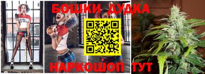 гашик Будённовск