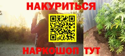 гашик Будённовск